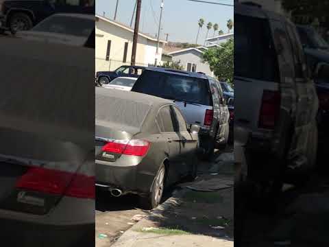 Ho Lives Matter pt.1 by P Nutty da Pimp