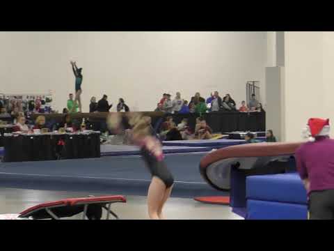 Lauren Wehner USAG Level 7 Yurchenko Timer Vault - 2018 - 1st Place