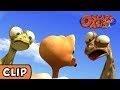 Oscar S Oasis Wrong Egg HQ Funny Cartoons