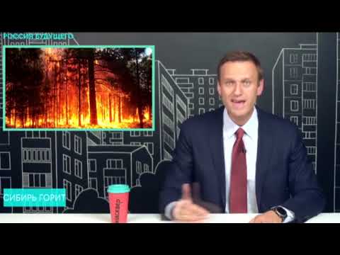 Россия в огне! Почему СМИ замалчивают масштабы лесных пожаров в Сибири — Гражданская оборона