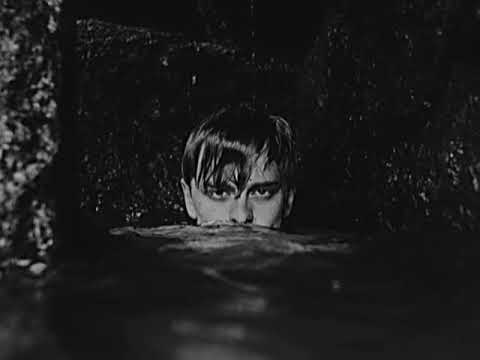 The Nits -  Nescio (Lyrics)