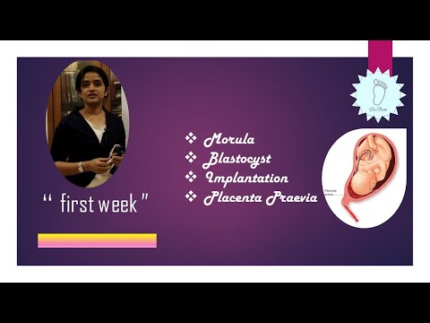 GENERAL EMBRYOLOGY  -THE FIRST WEEK OF HUMAN DEVELOPMENT - DR ROSE JOSE MD DNB MNAMS