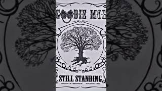 Goodie Mob ~ Fly Away #conscioushiphop #alternativehiphop #GoodieMob #1998 #nonpareil