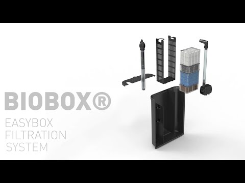 Watch Video on YouTube