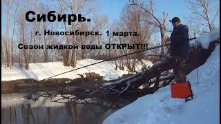 Ссылка