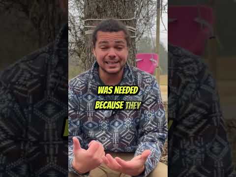 Comfrey: Ancient First Aid in Permaculture #shorts