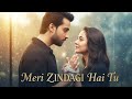 Meri Zindagi Hai Tu Full OST Video Song Asim AzharHania Aamir Bilal Abbas Khan