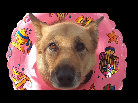 Lombardo - Recept (Official video)