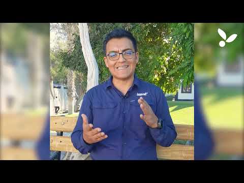 Innovak Global, líder internacional en el desarrollo de soluciones biorracionales (VIDEO)