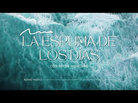 José Luis Reyes eleva el espíritu con "Levántate, hecho está" - La Espuma de los días #adn40radio