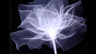 Jump Little Children - Close Your Eyes