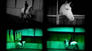 The Legendary Tiger Man - These Boots are made for walking