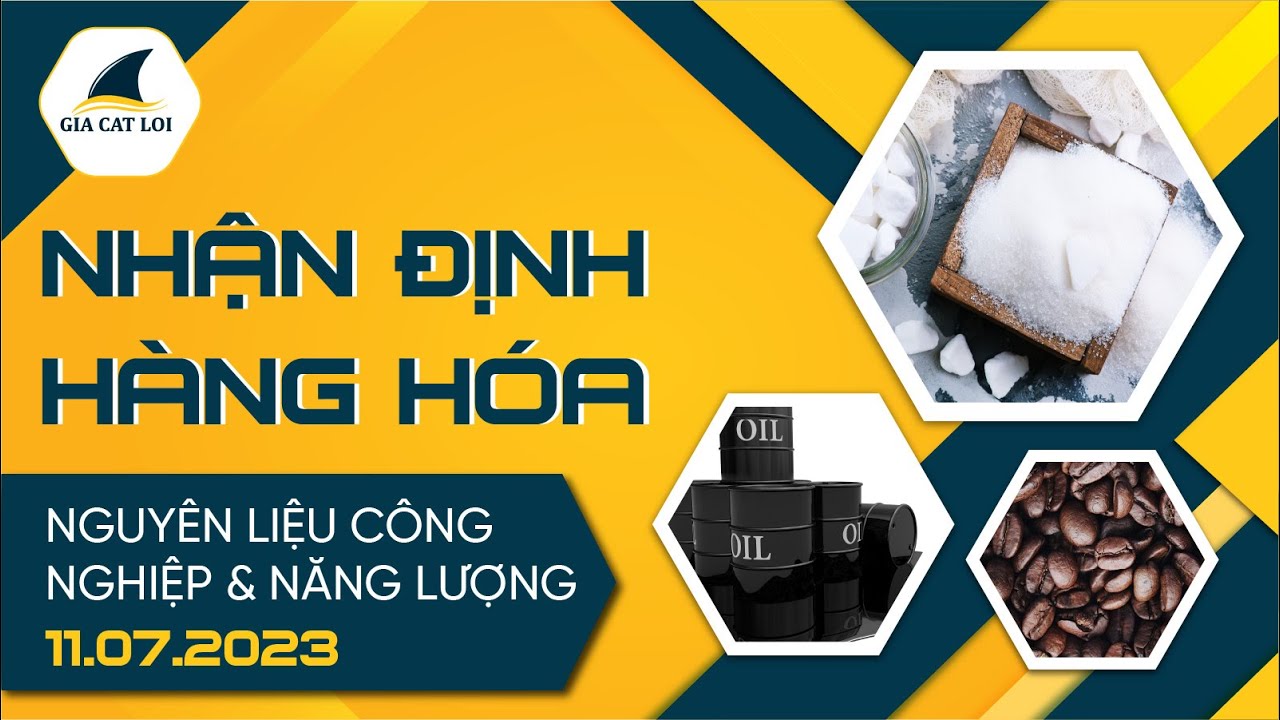 Nhận Định Thị Trường Năng Lượng & Nguyên Liệu Công Nghiệp Ngày 11/07/2023