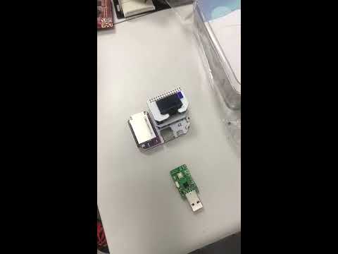 Onion Omega2&MrESP 1 Project-China Onion Core MEMBER and BioBlue Danny