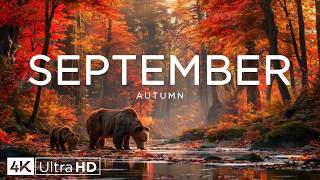 September Autumn 4K 🍁 The Season Begins with Glowing Forests, Mountain Views & Brilliant Fall Colors