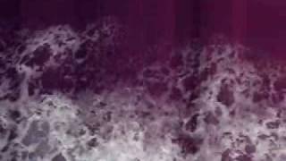 alessi brothers / seabird