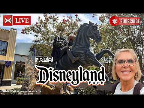 Live webcam of That Crazy Disney Lady