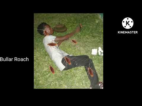 Da Boy - Cockroach Geng diss reply
