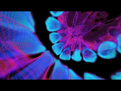 kindzadza vs highko vs slectrypnose between wicked screwed