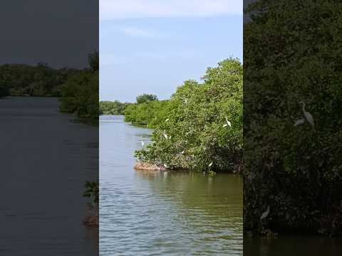 Mirador Turístico de Loma de Arena (Santa Catalina - Bolivar)