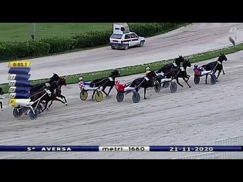 Aversa trotto 21 Novembre 2020 - 5° Corsa GP Stabile Filly