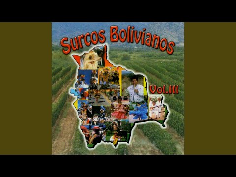 La Saya de Cochabamba