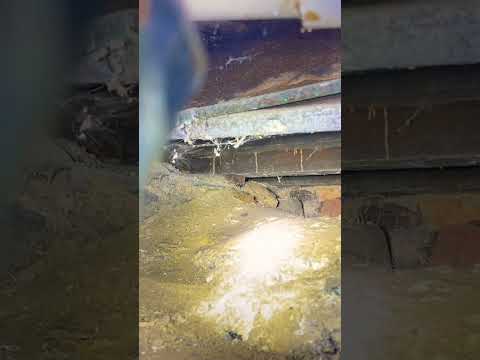 Termite damage in crawlspace! #termites #crawlspace