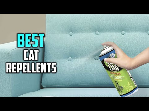 Top 5 Best Cat Repellents for Dogs, Environment Friendly & Outdoor/Indoor Spray [Review in 2022]