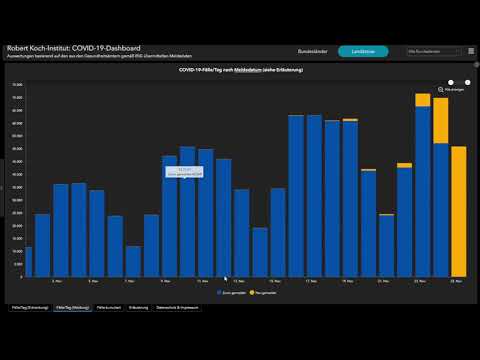 Mike's Faktencheck Coronalage 26.11.2020 und 2021 RKI und DIVI Register