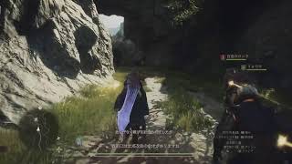 DLC向けてのドラゴンズドグマ２放送
