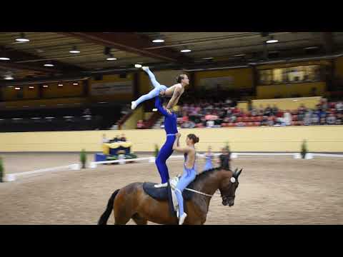 CVI Flyinge 2018 Junior Team Krumke 1