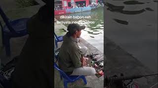 Download lagu di bobodo dei lauk mp3