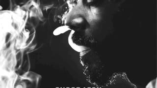 Snoop Lion - Torn Apart feat. Rita Ora (Reincarnated)