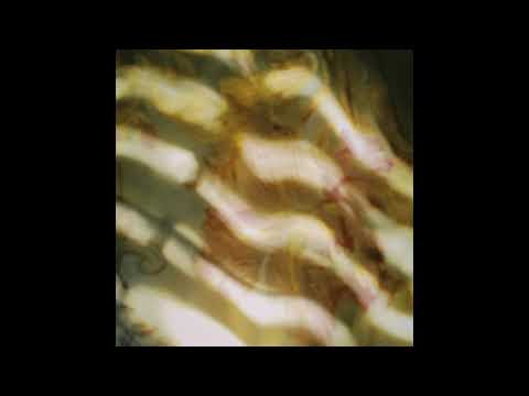 Ed Maverick - ESTO NO TIENE NADA QUE VER CON eduardo (Ep Completo)