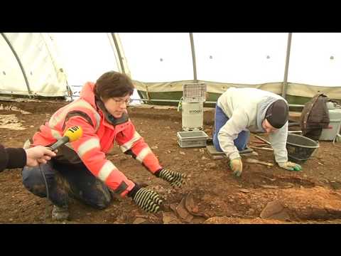Schaffhauser Kantonsarchäologen finden Keltische Fundstücke