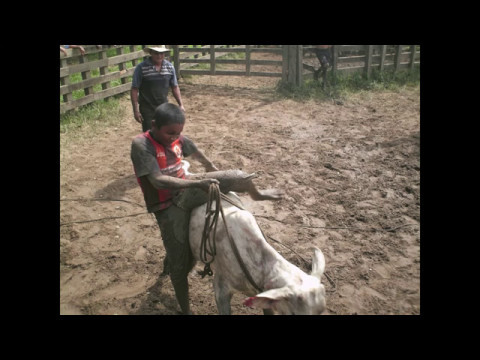 El llanero completo-Damaso Figueredo