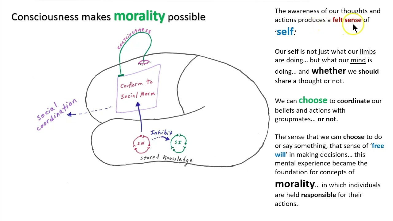 Consciousness and Morality