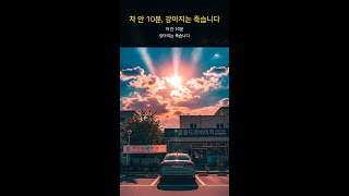 차 안 10분, 강아지는 죽습니다 #Shorts