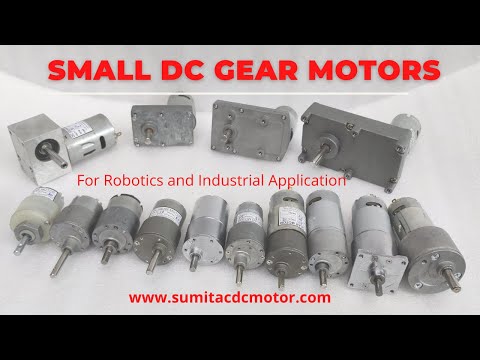 DC Spur Gear Motor