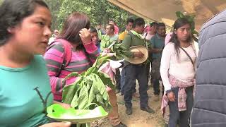 Carnaval 2022 en Rancho el Limón Mpio de Malinaltepec Gro DVD 2