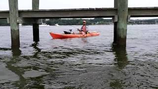 preview picture of video '4th of July Severn River Perch Fishing'