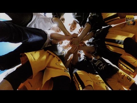 Kulisy meczu Trefl Sopot - Asseco Gdynia | Trefl Sopot