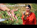 How To Start A Garden In JUNE Growing Vegetables From CUTTINGS