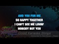 Happy Together - The Turtles ( Karaoke Lyrics )