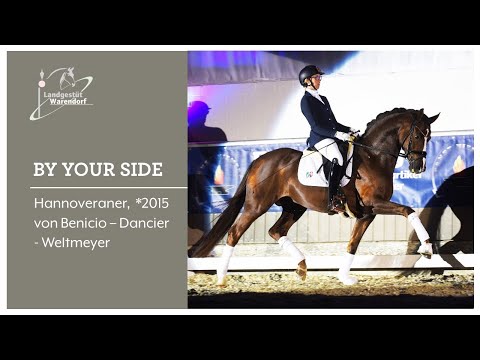 By Your Side 27 02 2021 bei der Online Hengstschau in Greven, Rüscher Konermann