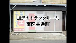 YouTube動画