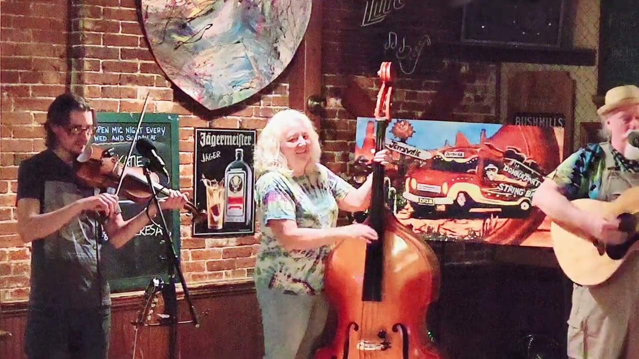 Promotional video thumbnail 5 for Donner Party String Band