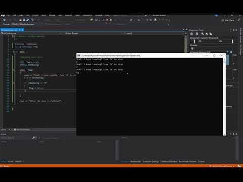 Loops Using Boolean Data Types