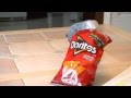 Funniest Parrot Ever And VERY Smart Too