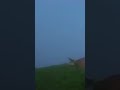 Most Soothing Instrumental Piece Taal Theme Instrumental AR Rahman Pianocover Instrumental
